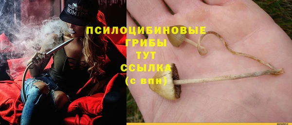 дурь Аркадак