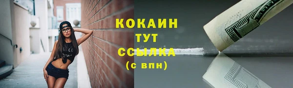 мяу мяу мука Арсеньев
